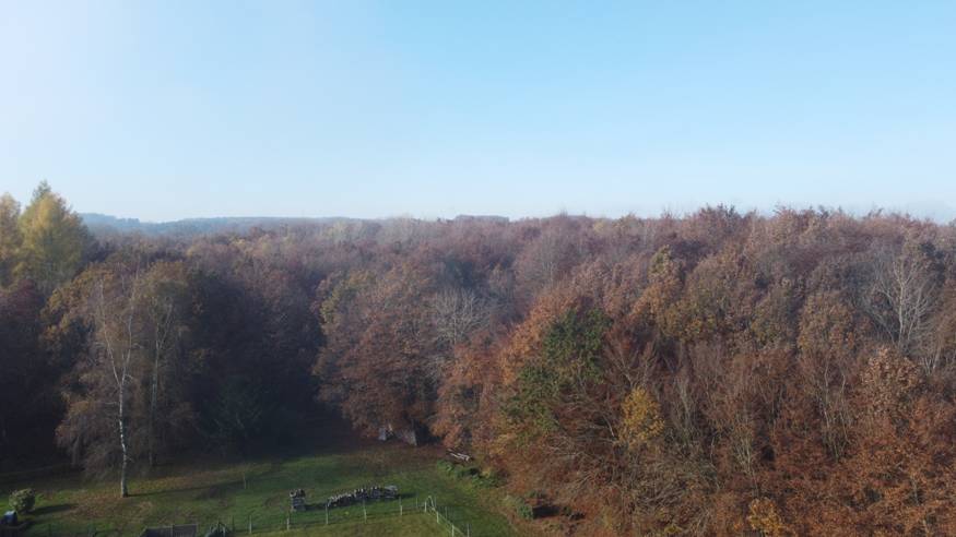 DJI_0096.JPG