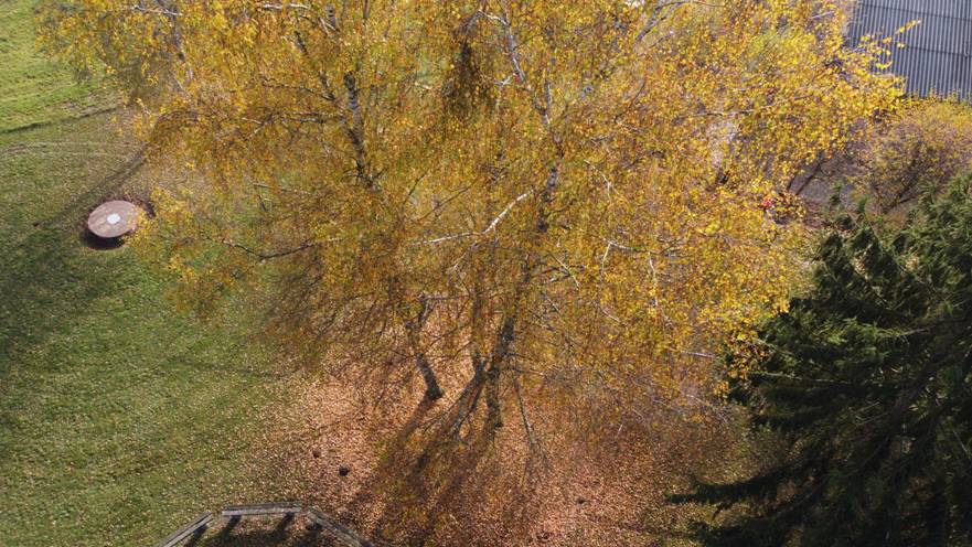 DJI_0097.JPG