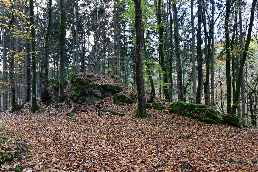 _DSC1233-1.jpg