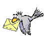 BirdMail